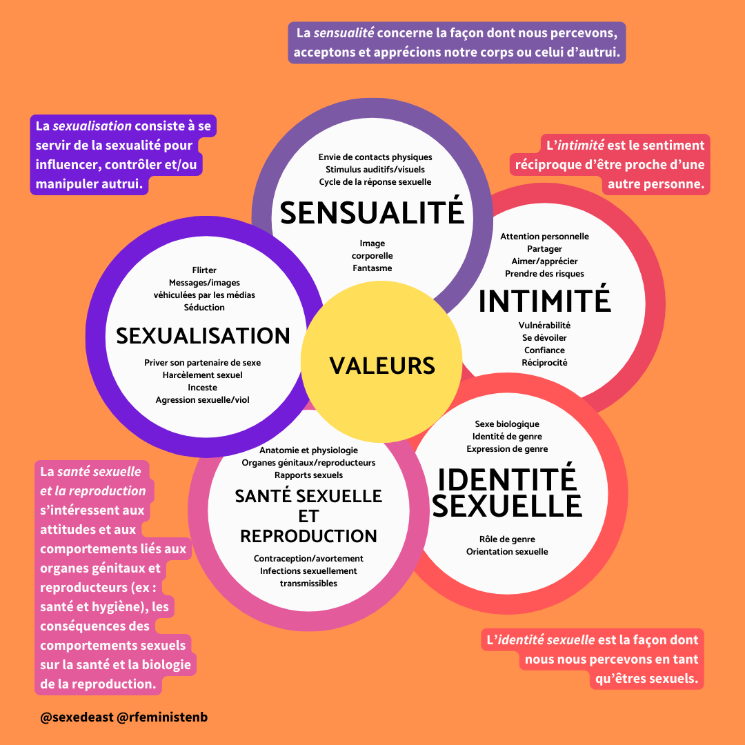 SEG 2024 Sexualités LGTBTQ INSTA 3