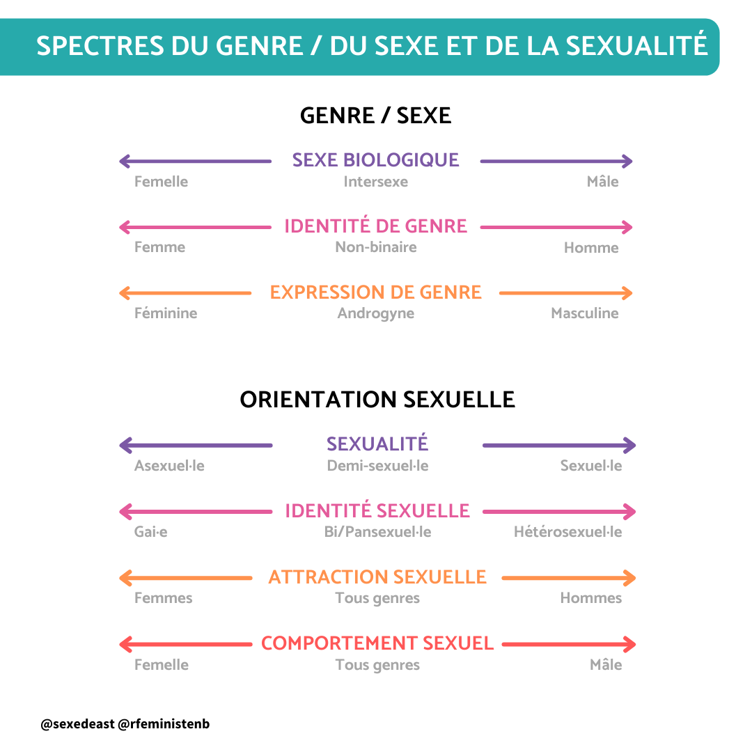 SEG 2024 Sexualités LGTBTQ INSTA 5