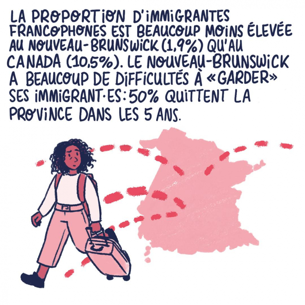 La proportion d'immigrantes francophones est beaucoup élevée au Nouveau-Brunswick (1,9%) qu'au Canada (10,5%). Le NB a beaucoup de difficultés à garder ses immigrantes : 50 % quittent dans province dans les 5 ans.